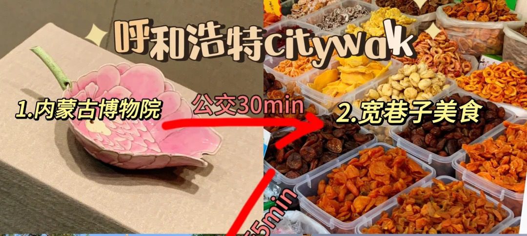 《呼和浩特一日游攻略》citywalk+转转📱篇
